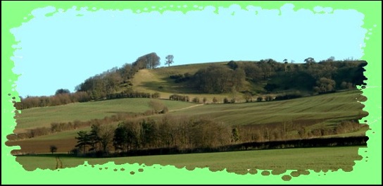 Meon Hill